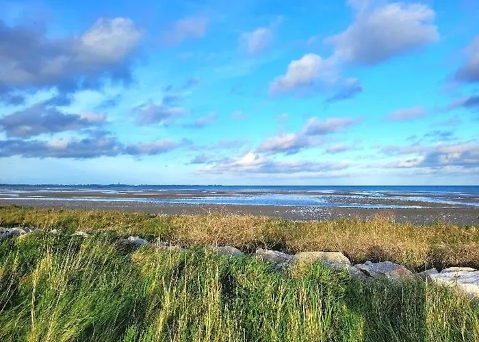 Gite Moussette - Bord De Mer - 4/6 Pers.