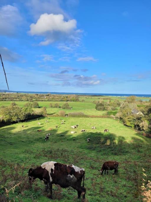 Moussette - Bord De - 4/6 Pers. Holiday home